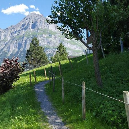 Chalet Wärgistal Grindelwald Exterior foto
