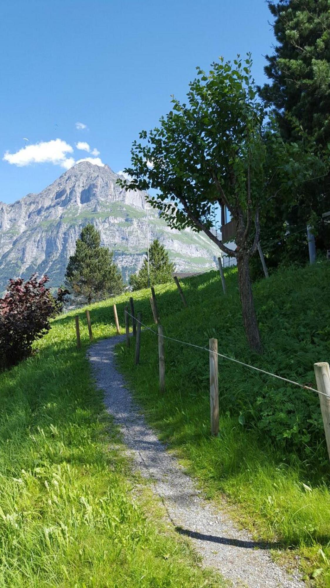 Chalet Wärgistal Grindelwald Exterior foto