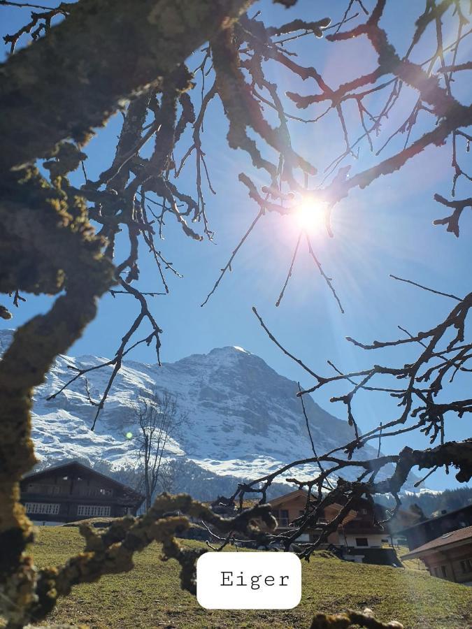 Chalet Wärgistal Grindelwald Exterior foto