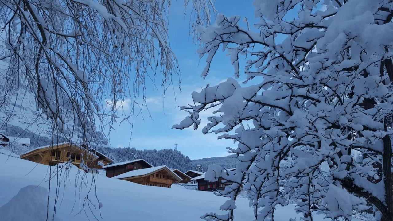 Chalet Wärgistal Grindelwald Exterior foto