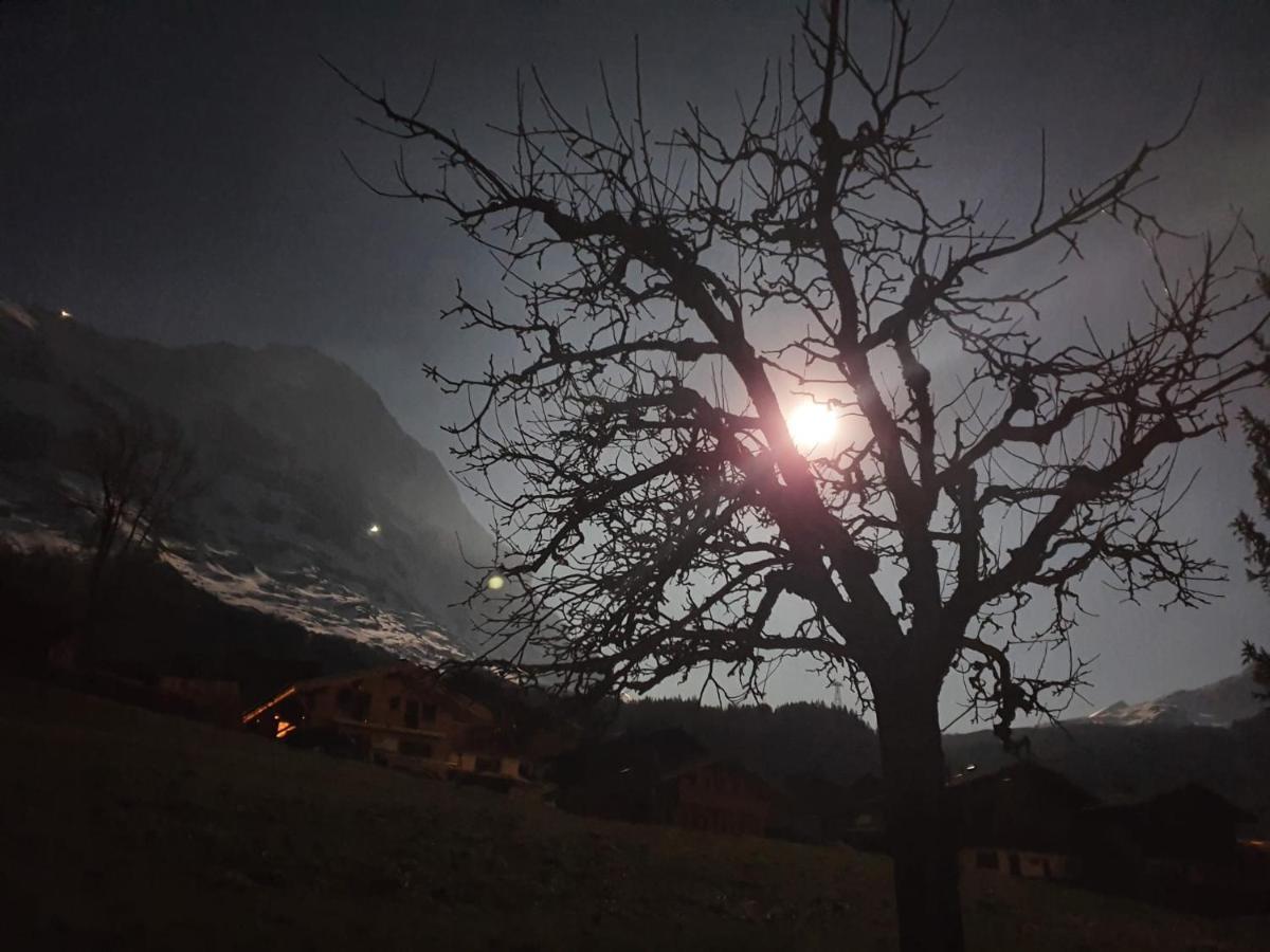 Chalet Wärgistal Grindelwald Exterior foto